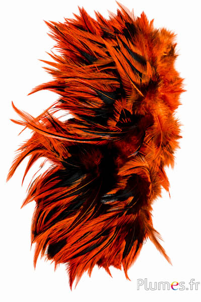 Gallo - 10-15 cm - arancioni